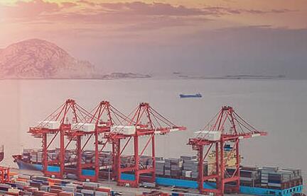 海運公司有幾種類型？