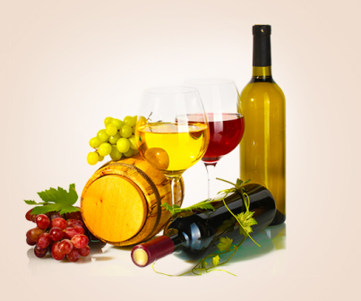 進(jìn)口海運代理機(jī)構(gòu)有哪些特色