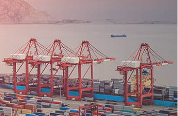 上海腰果進(jìn)口清關(guān)